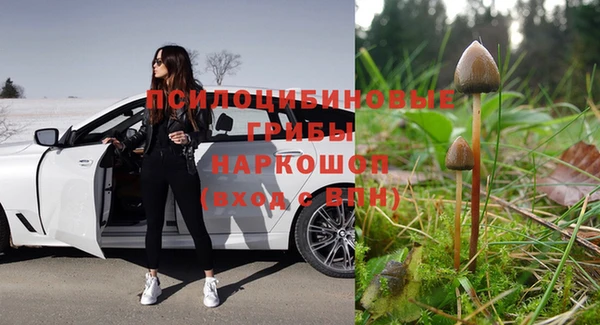 spice Алзамай