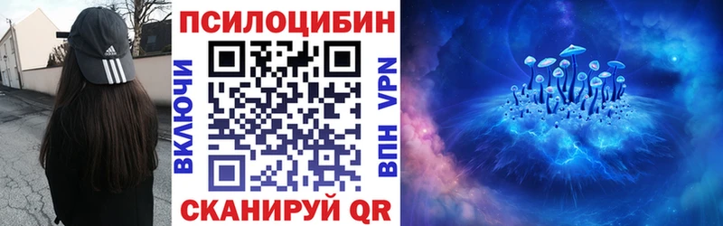 Галлюциногенные грибы MAGIC MUSHROOMS где найти наркотики Андреаполь